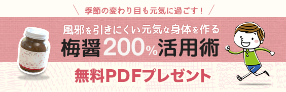 梅醤200%活用術 PDF冊子無料プレゼント